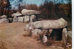 DOLMENS & MENHIRS - CARNAC - Dolmen De Mané-Kérioned - Dolmen & Menhirs