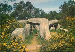 DOLMENS & MENHIRS - CRUCUNO - Dolmen - Dolmen & Menhirs