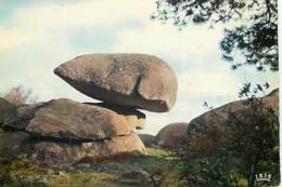 DOLMENS & MENHIRS - Environs De BOUSSAC - Les Pierres Jaumâtres - La Balançoire - 7 - Dolmen & Menhirs