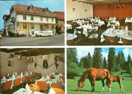 SAIGNELÈGIER Hotel Bellevue Auto Pferde - Saignelégier