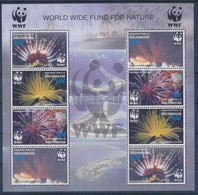 ** 2005 WWF: Korallok 2 és 4 Sort Tartalmazó Kisívek - Andere & Zonder Classificatie