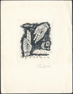 Win Zviers (1922-): Ex Libris G. A. Lewin.. Rézkarc, Papír, Jelzett  / Etched Bookplate, 8x9cm - Otros & Sin Clasificación