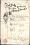 1860 Pest, Nicolaus Röser Kereskedelmi Iskolájának Fejléces Bizonyítványa Okmánybélyeggel - Unclassified