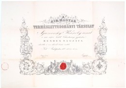 1889 A M. Kir Természettudományi Társulat Oklevele Mjazovszky Károly (1836-1909) Részére, Borítékkal 70x50 Cm - Sin Clasificación