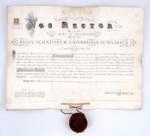 1906 Államtudományi Doktori Diploma. Láng Lajos Báró és Király János Aláírásával. Pergamenen, Viaszpecséttel - Unclassified