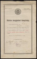 1914 A Magyar Vöröskereszt önkéntes Betegápolónői Bizonyítványa - Unclassified