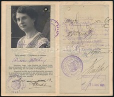 1920 A Magyar Királyság által Kiadott útlevél, 2K Bélyeg Felülragasztva, 50K Illetékkiegészítéssel Felülbélyegezve, Szép - Sin Clasificación