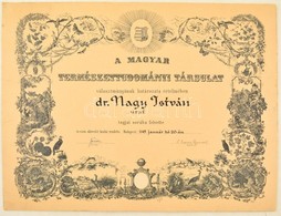 1949 Bp., A Királyi Magyar Természettudományi Társulat által Kiadott Díszes Oklevél Kossuth Címerrel. Kartonra Kasírozva - Sin Clasificación