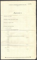 1896 Kivonat Az 1896-iki Ezredéves Oroszágos Kiállítás Szabályzatából 4p + Bejelentési ív A Kiállításra A Kiállítók Rész - Zonder Classificatie
