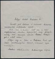 1937 D. Tóth Aurél Kézzel írt Levele Professzorához - Unclassified