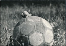 1976 Gábor Jánosné: Ilyen A Magyar Foci, Feliratozott Vintage Fotó, 16x23 Cm - Andere & Zonder Classificatie