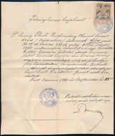 1899-1902 Hajótörténet: A Bezdam, Majd Göd Nevű Hajó Története. Kérelem Hajólevél Kiadására, Ideiglenes Hajólevél, Majd  - Other & Unclassified