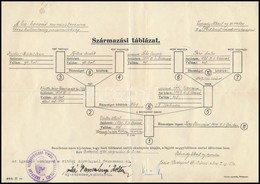 1940 Várady Albert, A M. Kir. Varasdi 10. Honvéd Huszárezred Ny. Ezredesének Származási Táblázata, Budapest Székesfőváro - Otros & Sin Clasificación