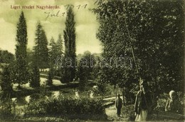 T2 1911 Nagybánya, Baia Mare; Ligeti Részlet. Kiadja Kovács Gyula / Park - Sin Clasificación