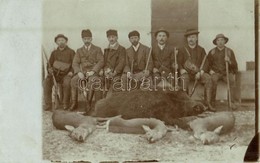 T2/T3 1913 Alsószabadi, Alsó-Lehota, Dolná Lehota; Vadásztársaság Elejtett Vaddisznóval és őzekkel / Hunters With Wild B - Sin Clasificación