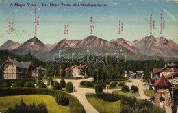 T2/T3 1913 Alsótátrafüred, Unter-Schmecks, Dolny Smokovec (Tátra, Magas Tátra, Vysoké Tatry); Hegycsúcsok, Nyaraló, Szál - Ohne Zuordnung