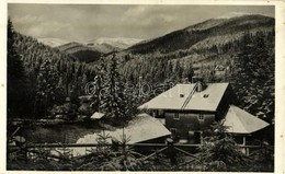 T2/T3 1943 Kőrösmező, Jaszinya, Jasina, Yasinia; Apsineci Gát, Csernehova / Dam, Mountain + Kétnyelvű Bélyegző / Bilingu - Ohne Zuordnung