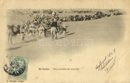 T2/T3 El Menia, El Goléa; Une Colonne En Marche / Marching Soldiers. TCV Card  (EK) - Ohne Zuordnung