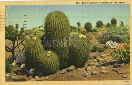 T2 1949 California, Barrel Cactus (Visnaga) On The Desert - Zonder Classificatie