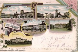 * T4 1900 Frystát, Freistadt; Schloss Solza Und Roy / Castles, Squares. Kunstanstalt Karl Schwidernoch Art Nouveau, Flor - Ohne Zuordnung