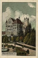 T2/T3 1928 Dischingen, Schloss Taxis (Burg Trugenhofen) / Castle (EK) - Unclassified