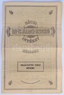 Bécs 1891. 'Bécsi Élet- és Járadék-Biztosító Intézet Bécsben - Halálesetre Szóló Kötvény' Kitöltött Kötvény Bélyegzésekk - Sin Clasificación