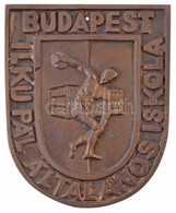 ~1970-1980. 'Ilku Pál Általános Iskola Budapest' Br Emlékplakett (89x110mm) T:2 - Sin Clasificación