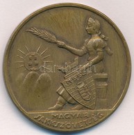 1941-1942. 'Magyar Sakkszövetség / Magyar Sakkszövetség - Cégliga Csapatbajnokság - 1941-42 X.' Br Díjérem (40mm) T:2 - Sin Clasificación