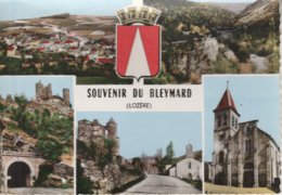 48 - LE BLEYMARD - Souvenir Du Bleymard - Le Bleymard