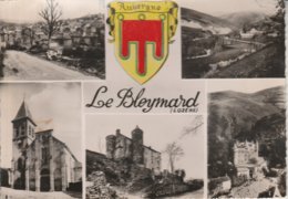 48 - LE BLEYMARD - Souvenir - Le Bleymard