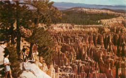 Etats-Unis - Utah - Bryce Canyon National Park - état - Bryce Canyon