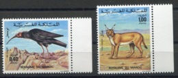 RC 14336 MAROC N° 736 / 737 OISEAU IBIS CHAUVE + LYNX FAUNE MAROCAINE  NEUF ** - Morocco (1956-...)