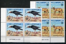 RC 14338 MAROC N° 736 / 737 OISEAU IBIS CHAUVE + LYNX FAUNE MAROCAINE BLOCS DE 4 COIN DATÉ NEUF ** - Maroc (1956-...)