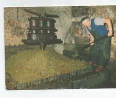 72 Sarthe Lhomme Préparation Du Raisin Avant Pressage La Bernache Vin Jasnières Coteaux Du Loir Métier Ed Combier - Autres & Non Classés