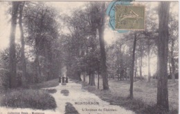 91 - MONTGERON - L'AVENUE DU CHATEAU - Montgeron