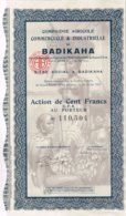 Titre Ancien - Compagnie Agricole Commerciale & Industrielle De Badikaha - Déco - Africa