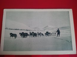 EN VOYAGE CERCLE ARCTIQUE ALASKA - Sonstige & Ohne Zuordnung