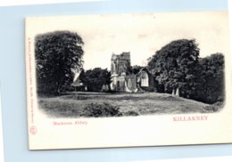 KILLARNEY - Muckross Abbey Edition E. Wrench London N°109 Printed In Saxony - Kerry