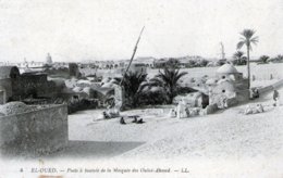 (127)   CPA  El Oued  Puits A Bascule De La Mosquée Des Ouled Ahmed  (Bon Etat) - El-Oued