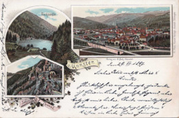 MUNSTER In Niedersachsen (Örtze), Mehrbilder Litho, Gelaufen 1897, Verlag J.Beck. Münster, Gute Erhaltung - Munster