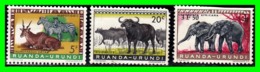 RUANDA URUNDI 3 SELLOS DE SERIE AÑO 1959 - 1962-1969