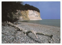 Sassnitz - Kreideküste Mit Der Stubbenkammer Auf Der Insel Rügen - Sassnitz