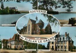 SOUVENIR DE PLELAN LE GRAND CARTE MULTIVUES - Other & Unclassified