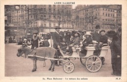 Lyon          69      Place Bellecourt   Voiture Des Enfants.Attelage D'âne        (voir Scan) - Sonstige & Ohne Zuordnung