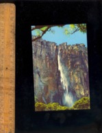 Delcampe - Venezuela : El Salto Angel Angel Fall  Cascade - Venezuela