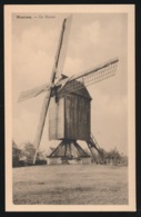 WESTREM  DE MOLEN - Wetteren