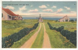 Quaint Cape Cod Scene, Cape Cod, MA - Cape Cod