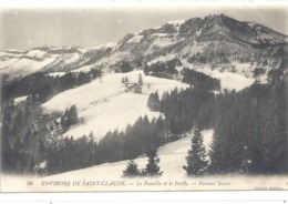 86. ENVIRONS DE SAINT-CLAUDE . LA FAUCILLE ET LE PAILLY . VERSANT SUISSE . CARTE NON ECRITE - Pailly