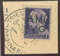 TRIESTE A.M.G.-V.G. SASS.  8hp  USATO SU FRAMMENTO - Usati