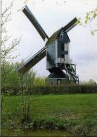 Roosendaal (N.-Br.) - Molen/moulin - Standerdmolen De Hoop, Opgezeild En In Werking Kort Na De Restauratie Van 1994 - Roosendaal